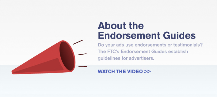 About the Endorsement Guides