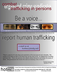 Defense Hotline poster -- Report Human Trafficking