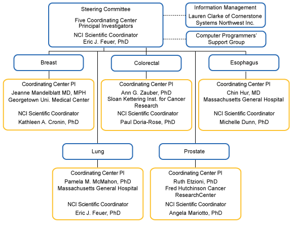CISNET's Organizational Structure