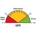 Dial graphic to help explain GFR test results