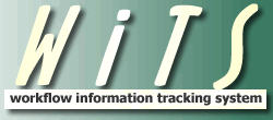 WiTS logo