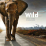 Go Wild: Coming Together for Conservation 