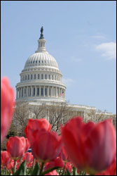 U.S. Capitol