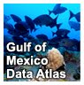 Click or touch to go to the Gulf of Mexico Data Atlas