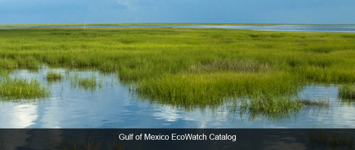 Link to EcoWatch Catalog for the Gulf of Mexico