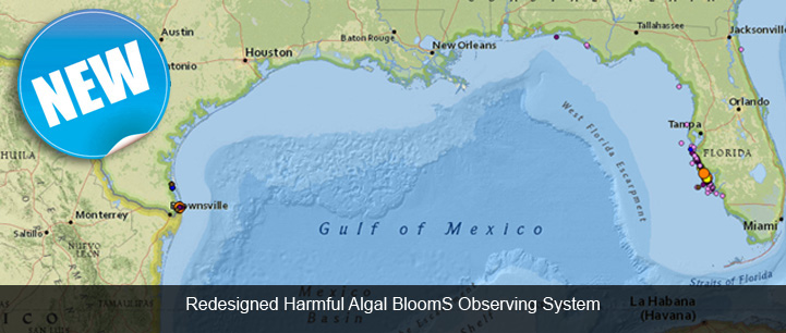 Visit the Harmful Algal Blooms Observing System Site