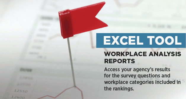 Excel tool workplace analysis reports