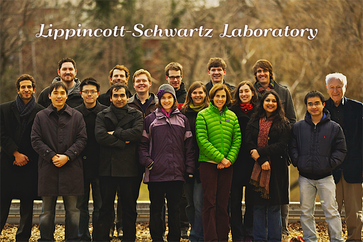 Group photo of the Lippincott-Schwartz Lab Personnel