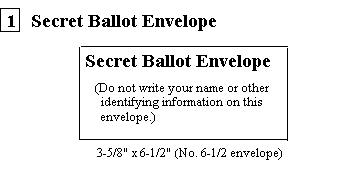 Secret ballot envelope - small envelope