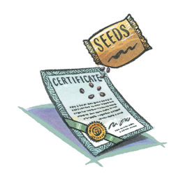Image of a certificate and seed packet with seeds falling from packet onto certificate