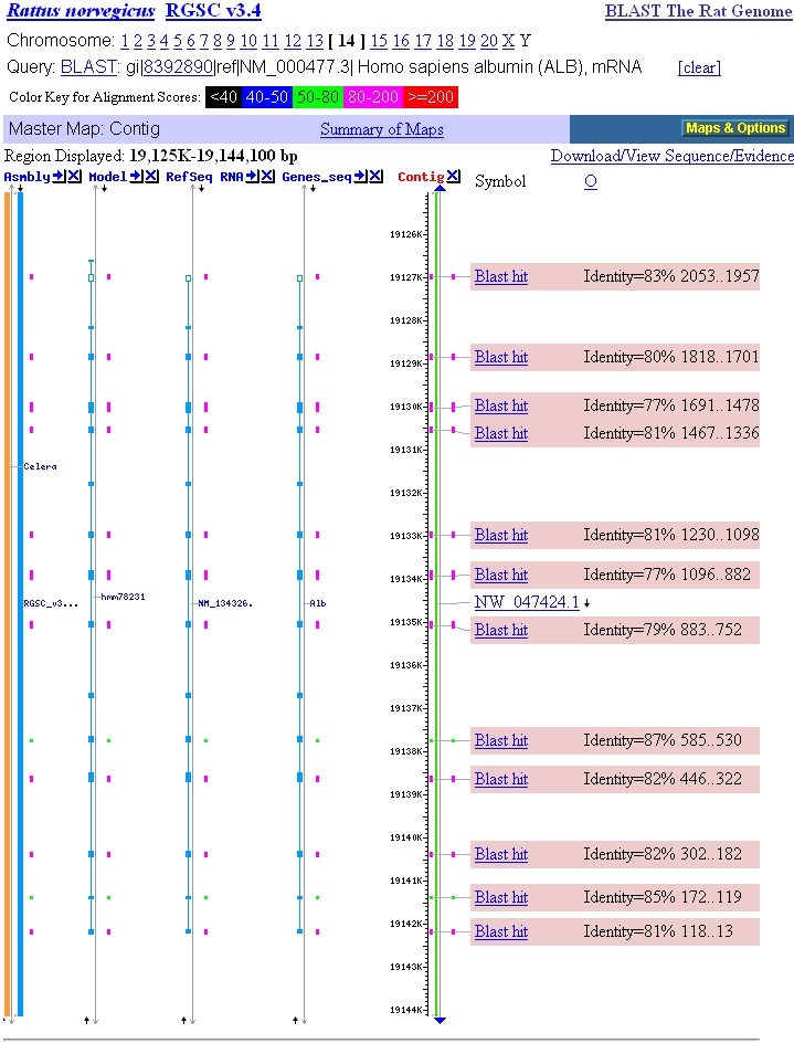 Rat genome map demonstration