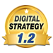 Digital Strategy 1.2