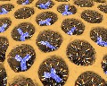 Antibodies in silica honeycomb Thumbnail Image