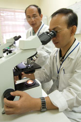 One man looks into microscope, another by his side observes