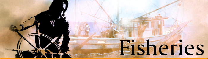 fisheries banner