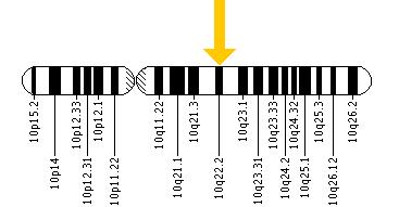 The KAT6B gene is located on the long (q) arm of chromosome 10 at position 22.2.