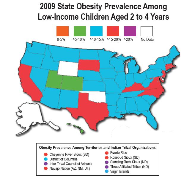 Obesity Rates by State