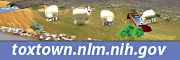 Tox Town Sheep Ranching with logo