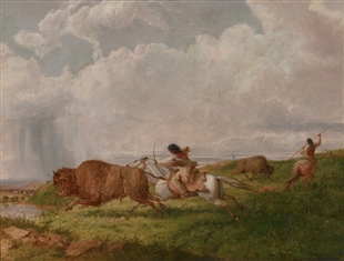 Buffalo Chase