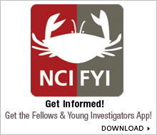 Image for Fellows and Young Investigators Application