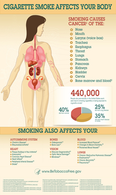 Cigarette Smoke Affects Your Body - Click image to view larger version