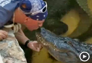Image: Video still of man kissing alligator on 'Gator Boys' (© Animal Planet)