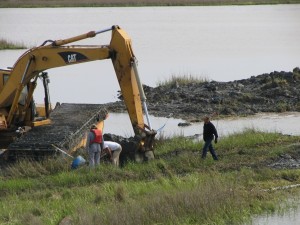 Restoring a wetland in Louisiana.