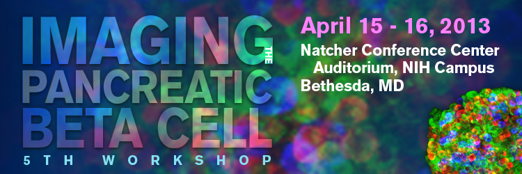 April 15–16, 2013 - NIDDK Workshop: Imaging the Pancreatic Beta Cell