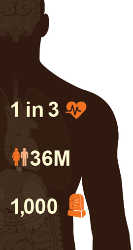 Diagram of a person overlaid with an icon of heart with the number 1 in 3, an icon of a man and woman with the numbera 36 million, and an icon of headstone with 1,000.