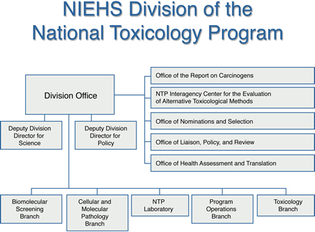 National Toxicology Program Organization Chart