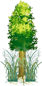 tree and grass logo