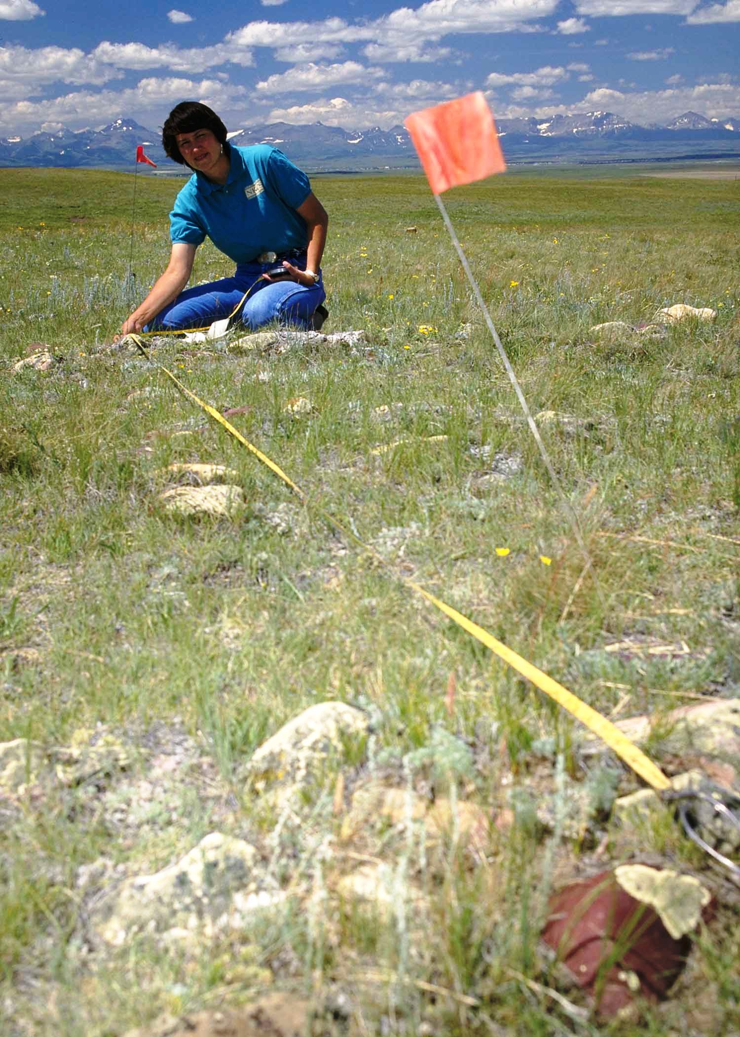 Lady stretching measuring tape from a small flag during field survey.