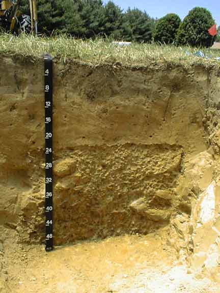Picture of side of pit about 6 feet in depth, showing soil layers.