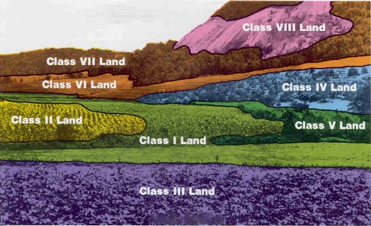 Diagram showing soil capability classifications written in Roman Numerals