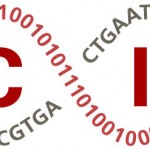 NCIP Logo Final