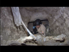 Drug tunnel discovered in San Diego video