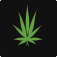 Illustration: Icon of Marijuana leaf