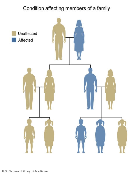 Some disorders are seen in more than one generation of a family.