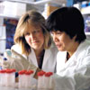 Photo of two female researchers