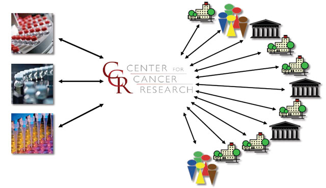 Diagram of CCR Partnerships