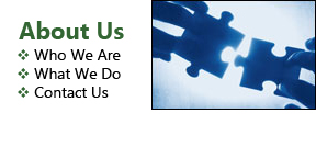 About Us: Who We Are, What We Do, Contact Us