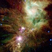 Newborn stars, hidden behind thick dust, are revealed in this image of a section of the Christmas Tree cluster from NASA's Spitzer Space Telescope, created in joint effort between Spitzer's infrared array camera and multiband imaging photometer instrument