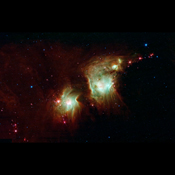 NASA's Spitzer Space Telescope exposes the depths of this dusty nebula with its infrared vision, showing stellar infants that are lost behind dark clouds when viewed in visible light.
