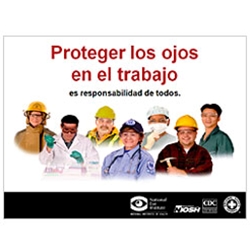 Presentación y Guía para el Presentador sobre la Protección de los Ojos en el Trabajo en Power Point (PDF*)