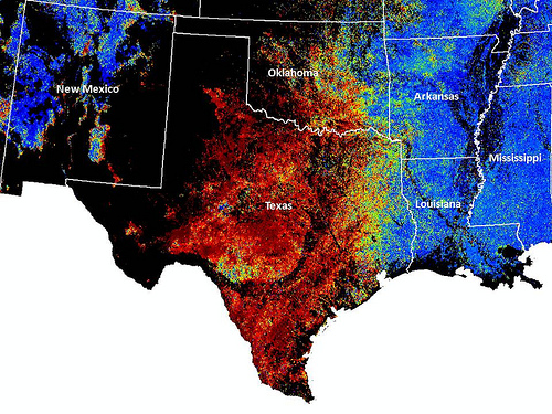 ForWarn maps normal forest conditions as blue and change from normal as shades that range from green to red. This map shows that the greater part of Texas and Oklahoma were experiencing severe forest stress in late September of 2011 from the effects of drought and wildfire. 