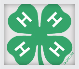 4H logo