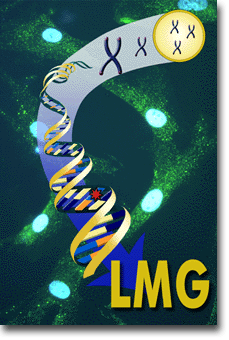 Laboratory of Molecular Gerontology-Web Graphic