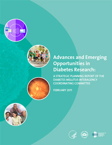 Cover of Diabetes Research Strategic Plan