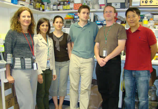 Staff Photo for Brain Physiology and Metabolism Section 