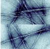 thumbnail image from paper